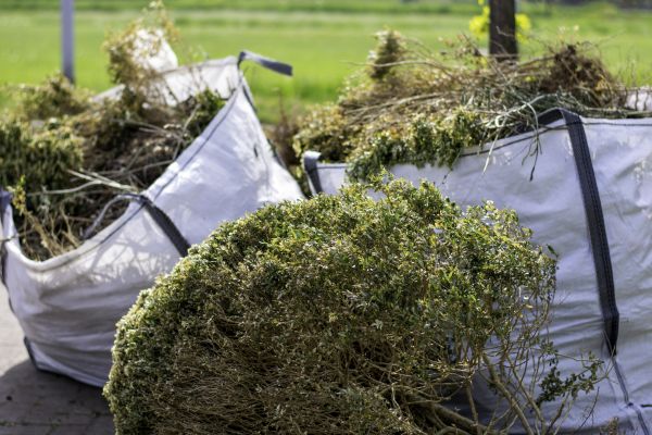 Cost of Shrub Removal Service in Ogden