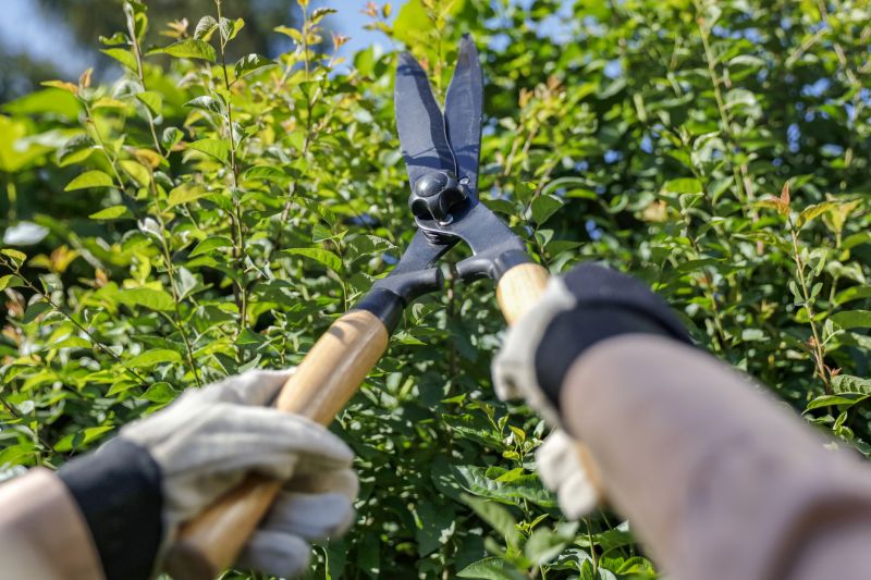Pruning Equipment